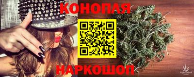 гидра Волгодонск