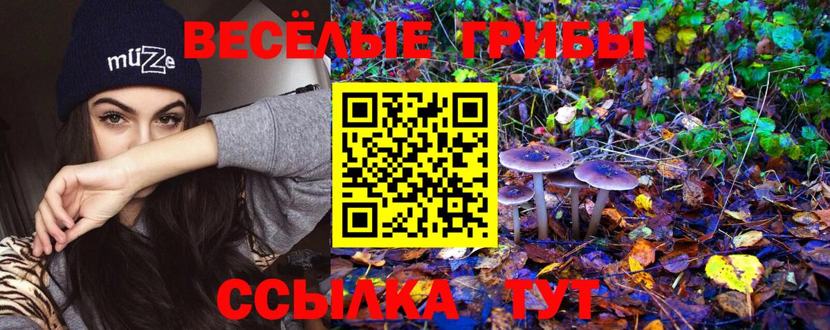 Галлюциногенные грибы Psilocybine cubensis  Псилоцибиновые грибы MAGIC MUSHROOMS  Вход с VPN  Нарткала 
